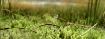 Nieuwe Spa-campagne laat water spreken