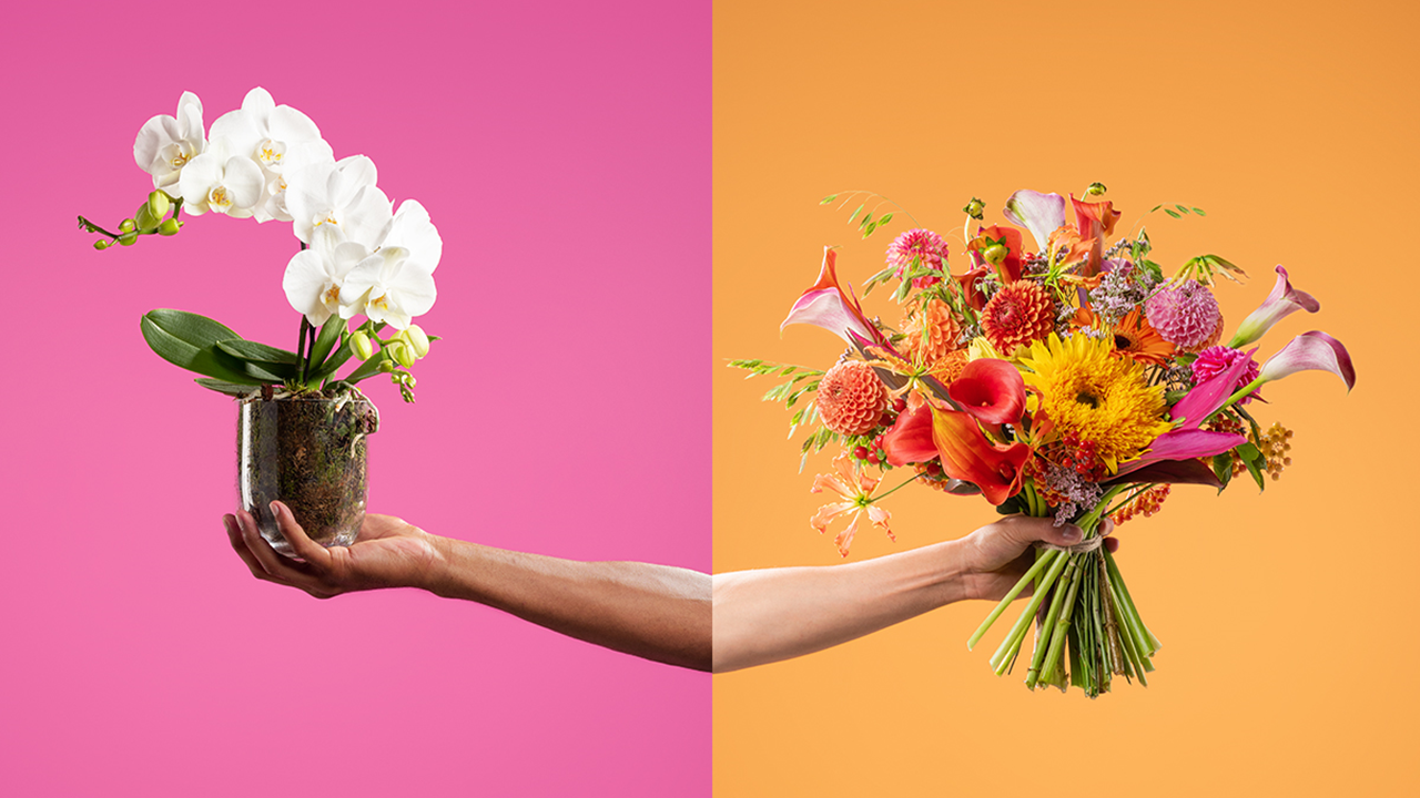 180 Kingsday maakt najaarscampagne voor Bloemenbureau Holland