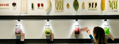 Tinker ontwerpt Foodtopia in Museum Boerhaave