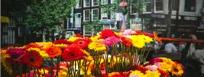 Marktleider FloraHolland: 'Shopper marketing is ook praten met klanten'