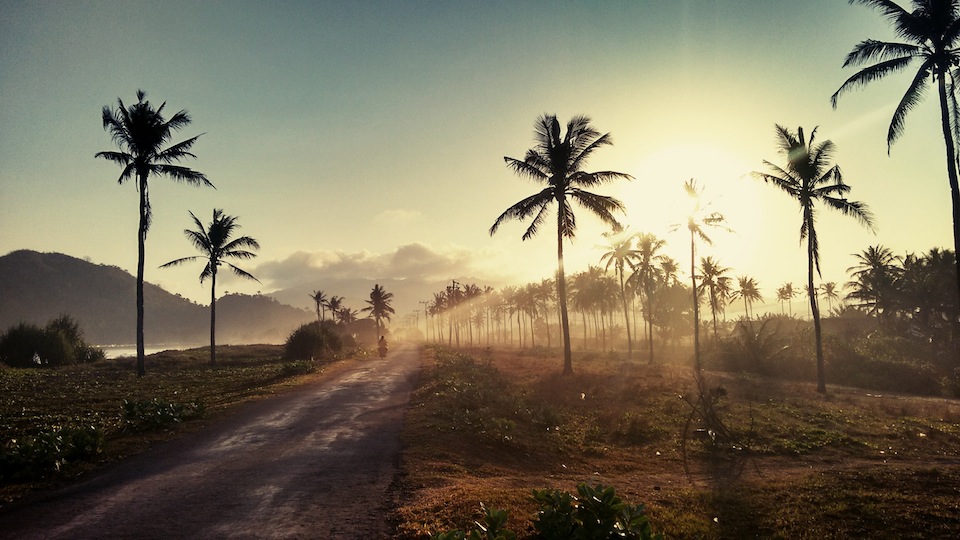 [onderzoek] 'Multinationals vernietigden 260.000 voetbalvelden aan regenwoud voor palmolie'