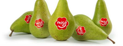 Migo sponsort jubelerend CliniClowns (een maand)