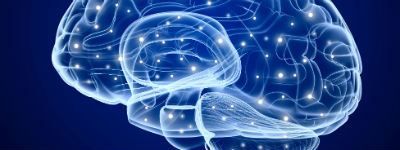Van Osch: 'neuroscience is next big thing'