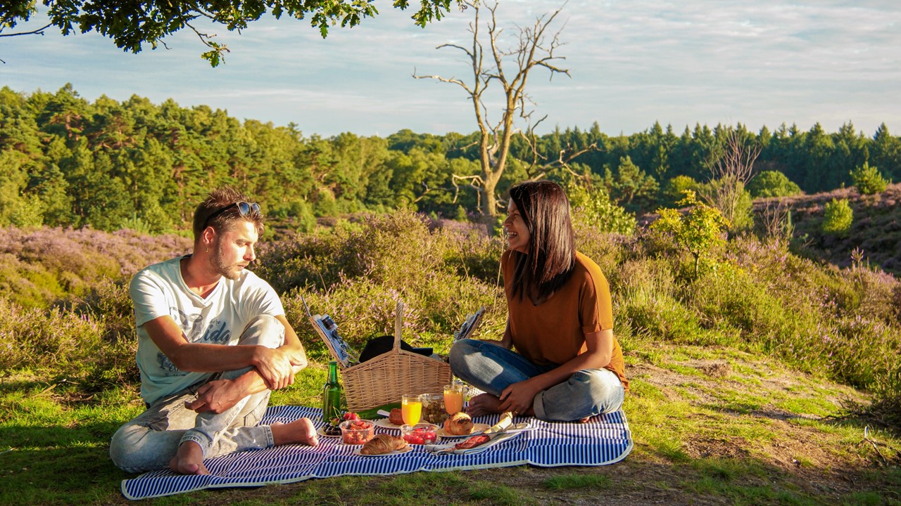 Onderzoek: Veluwe en Zuid-Limburg dit jaar favoriet bij Nederlander