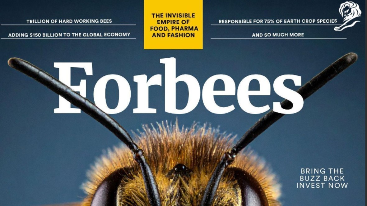 Brons voor DDB Amsterdam bij Young Lions