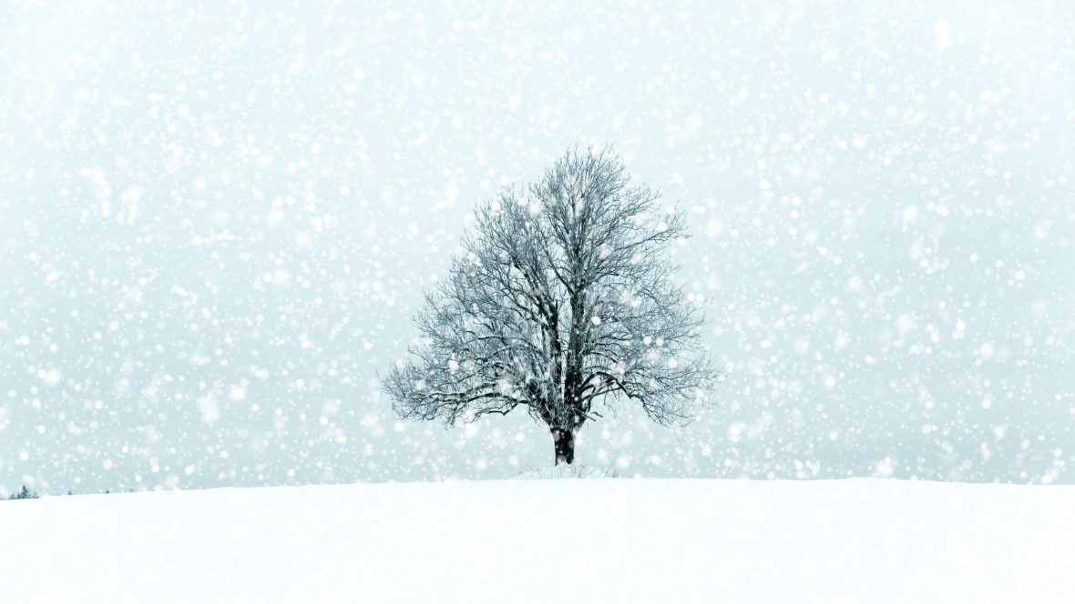 Wintercampagnes testen in augustus?