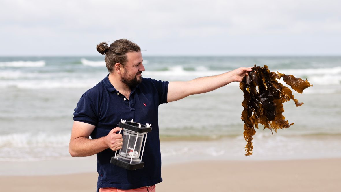 Ebbing Tides: Pionieren met kelp en natuurherstel op zee