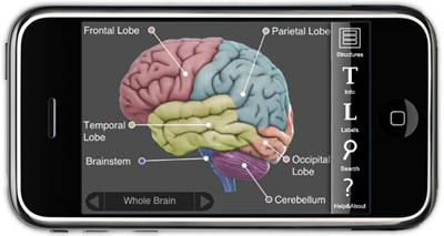 3d brain app for iphone 3d brain app for iphone