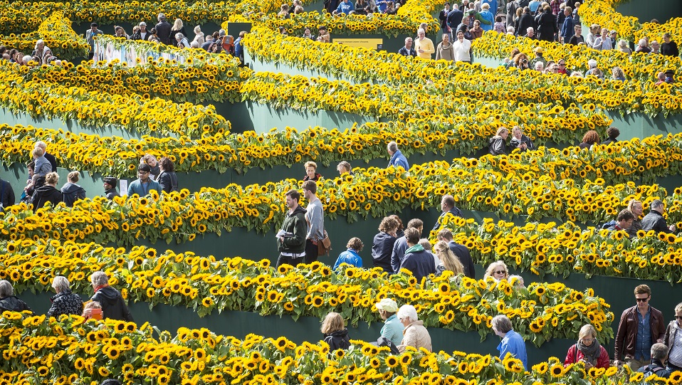Xsaga Canon] 4: Van Gogh Museum krijgt nieuwe hoofdingang |  MarketingTribune meer over marketing