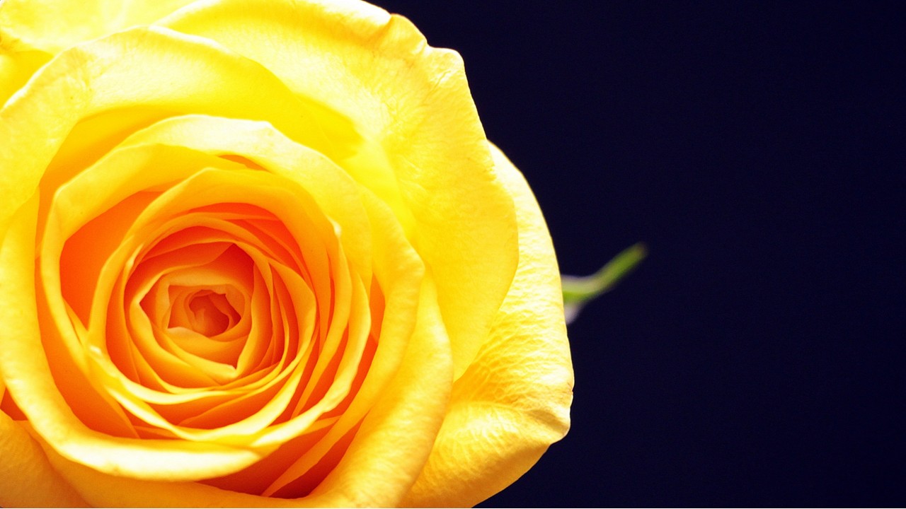 [column] What's in a name?