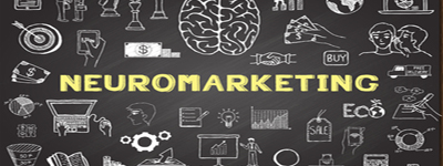 Wat je van neuromarketing in b2b moet weten