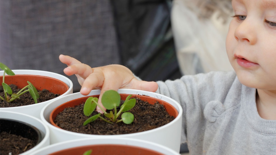 The Gardeners werkt voor Elho