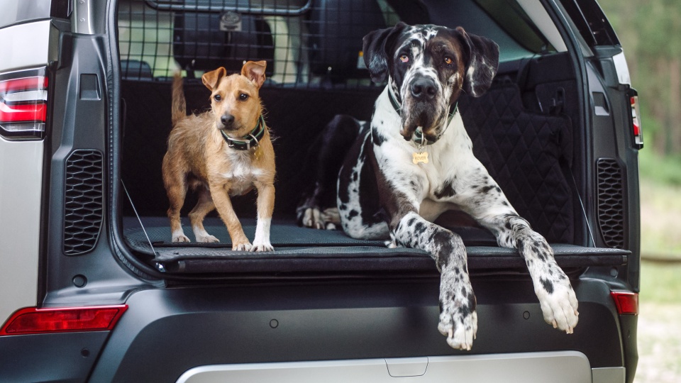 Land Rover lokt honden met geur-campagne