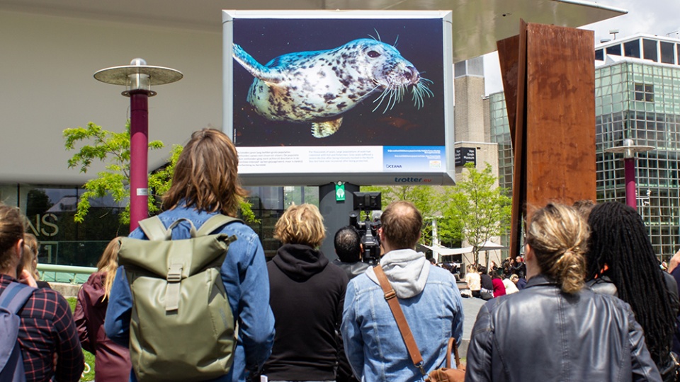 Branding A Better World en Oceana vragen aandacht voor Noordzee