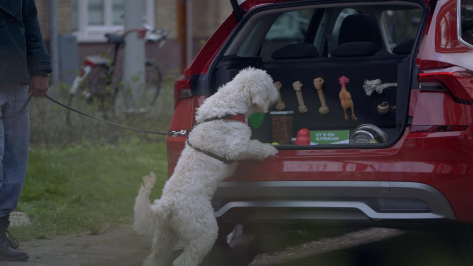 Skoda helpt hond op zaterdag