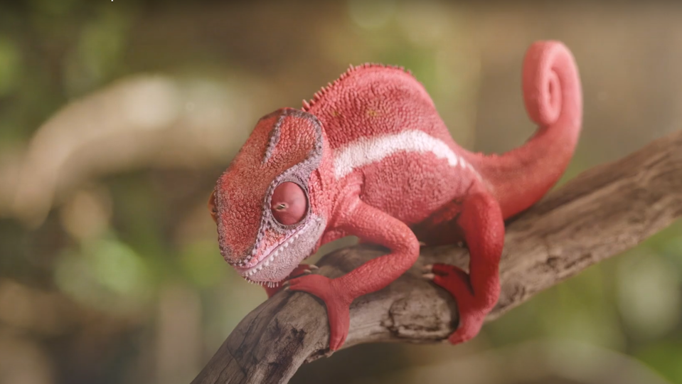 Red Band maakt comeback met kameleon-commercial