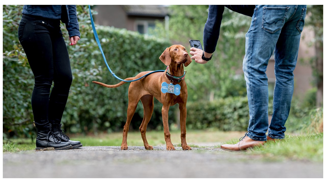 Hond in hoofdrol donatieweek Hulphond