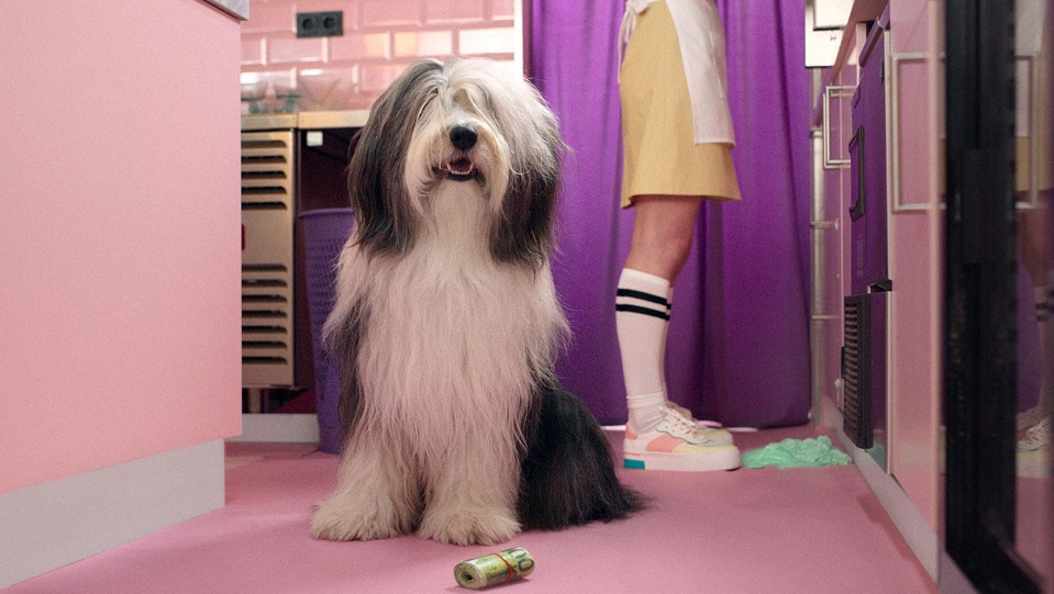 Make Money Smile-campagne voor BridgeFund door Ceci n'est pas un bureau