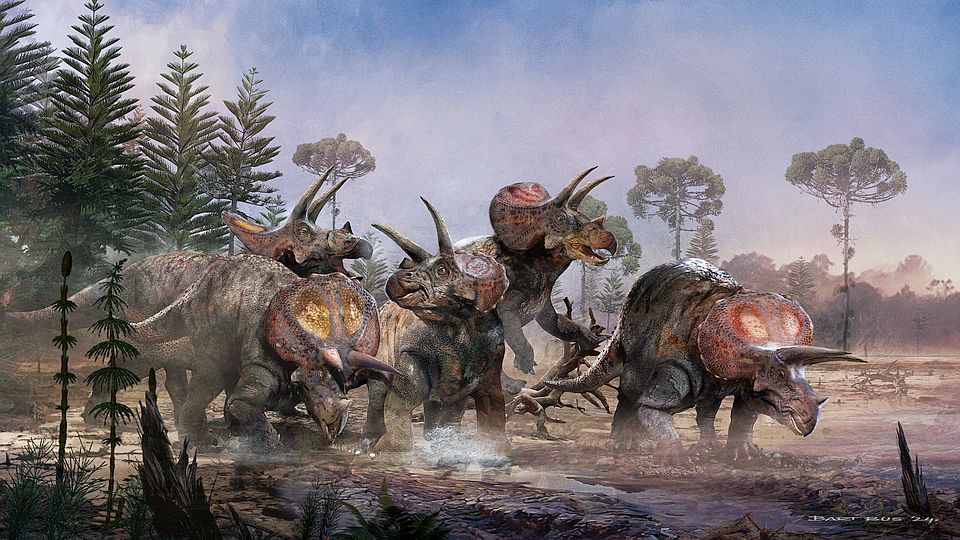 Triceratops-kudde komt tot leven in Naturalis