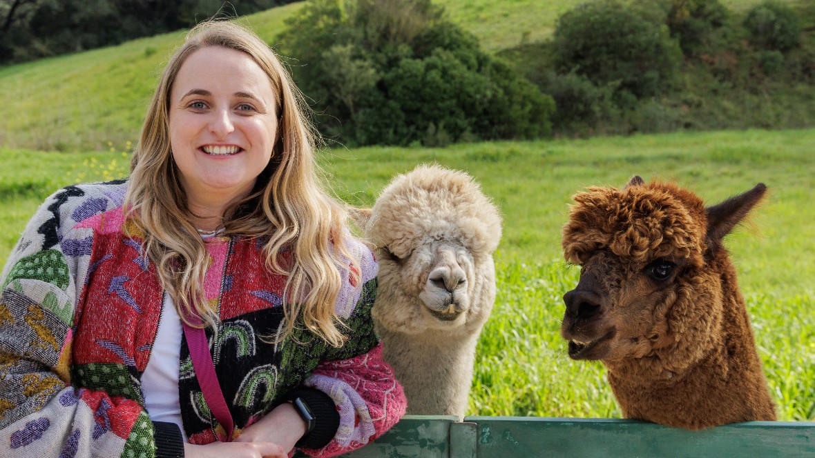 Alpaca’s stelen de show in nieuwe Allianz-campagne | MarketingTribune