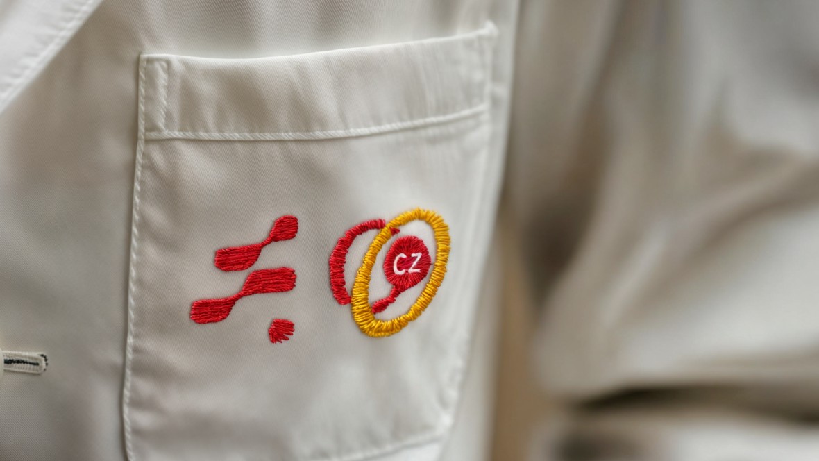 CZ gaat voor Ace als strategisch partner