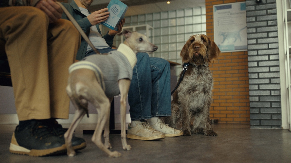 ANWB lanceert nieuwe merkcampagne 'ANWB ... en gaan'