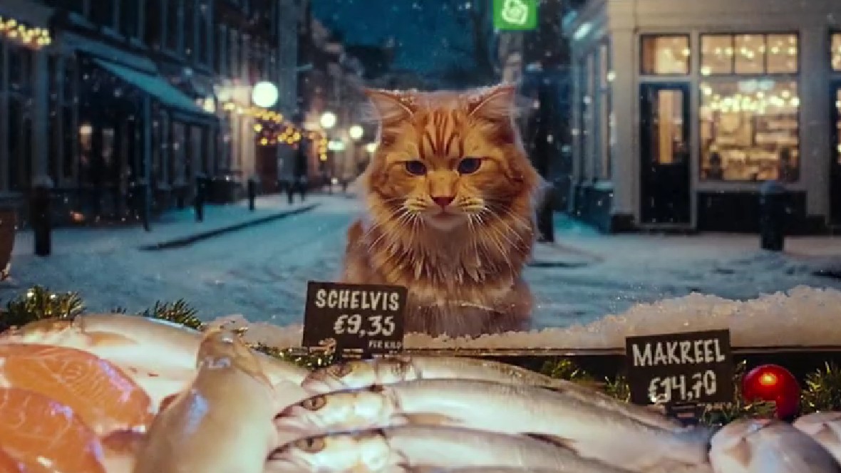 Louis gaat met kerst op avontuur