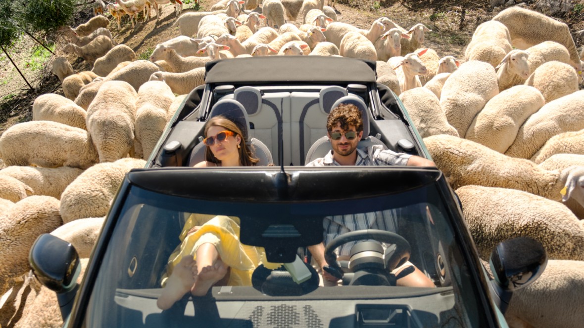 Sunny Cars herlanceert Sunny & Car