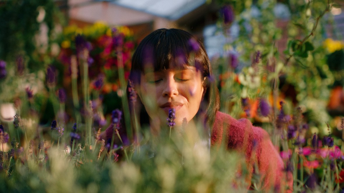 Intratuin kiest voor verwondering