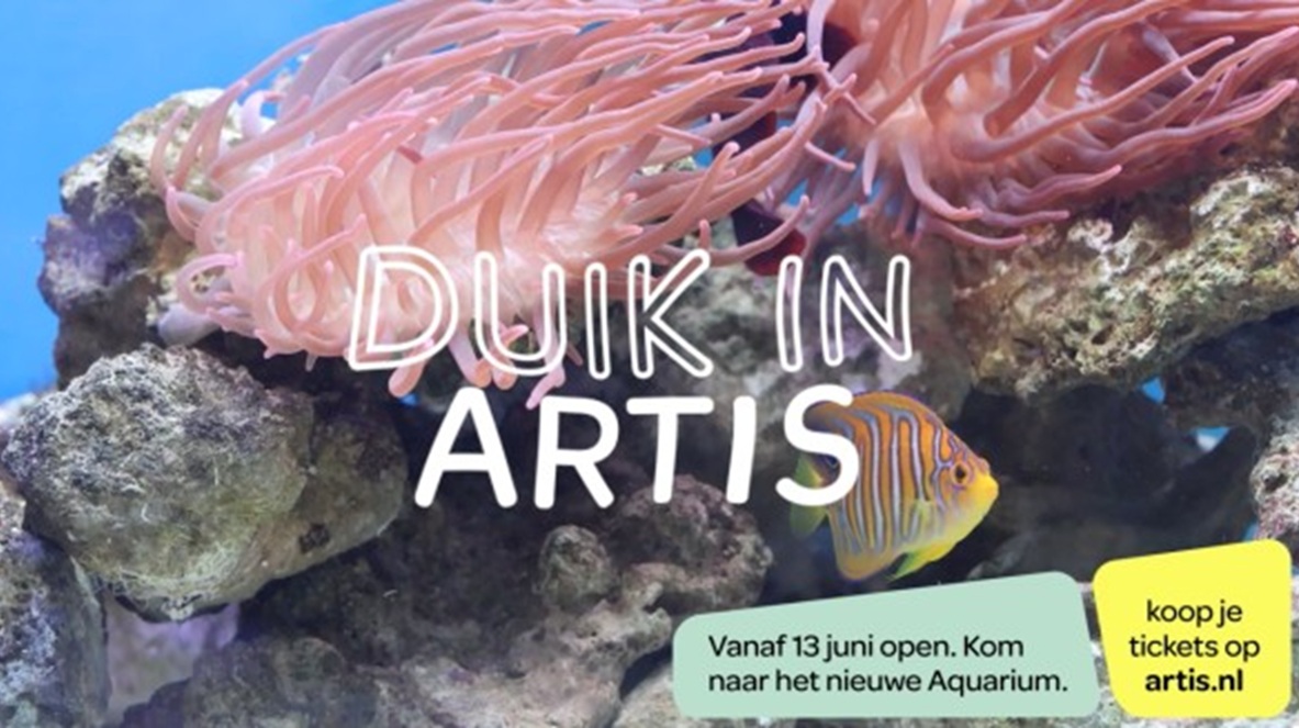 Artis brengt vernieuwd Aquarium onder de aandacht