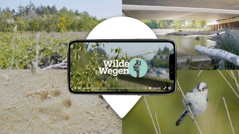 Rijkswaterstaat brengt 'wilde wegen' in beeld