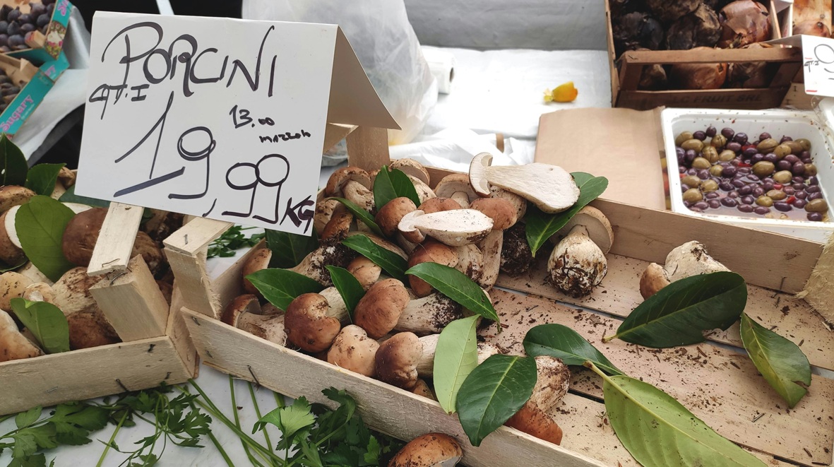 'Verborgen Parels' zet met marketing paddenstoelen op de kaart