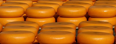 Oud-directeuren Uniekaas richten Best Cheese Holland op