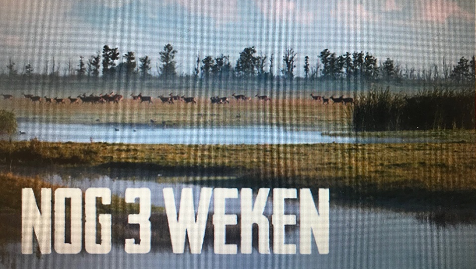 Herten Oostvaardersplassen blijken marketinghit