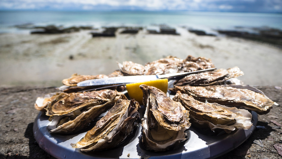 Restaurants helpen de natuur met schelpen
