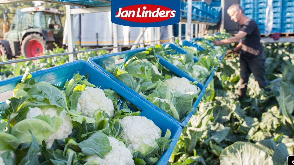 Onderzoek: consumenten willen meer streekproducten
