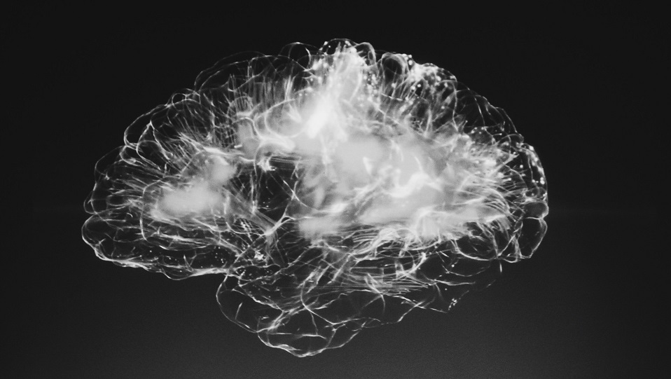 Masterclass: Shopper behavior through the lens of neuroscience