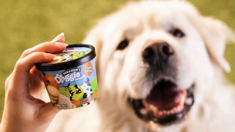 Ben en Jerry's komt met hondenijs