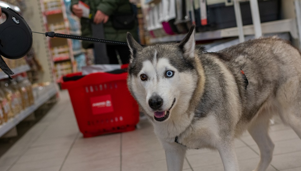 Zomerkerst bij nieuwe dierenspeciaalzaak Jumper