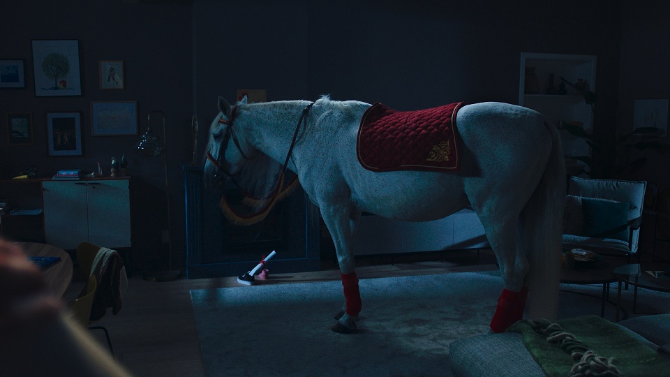 Hoofdrol voor paard van Sint Ozosnel in reclame AH