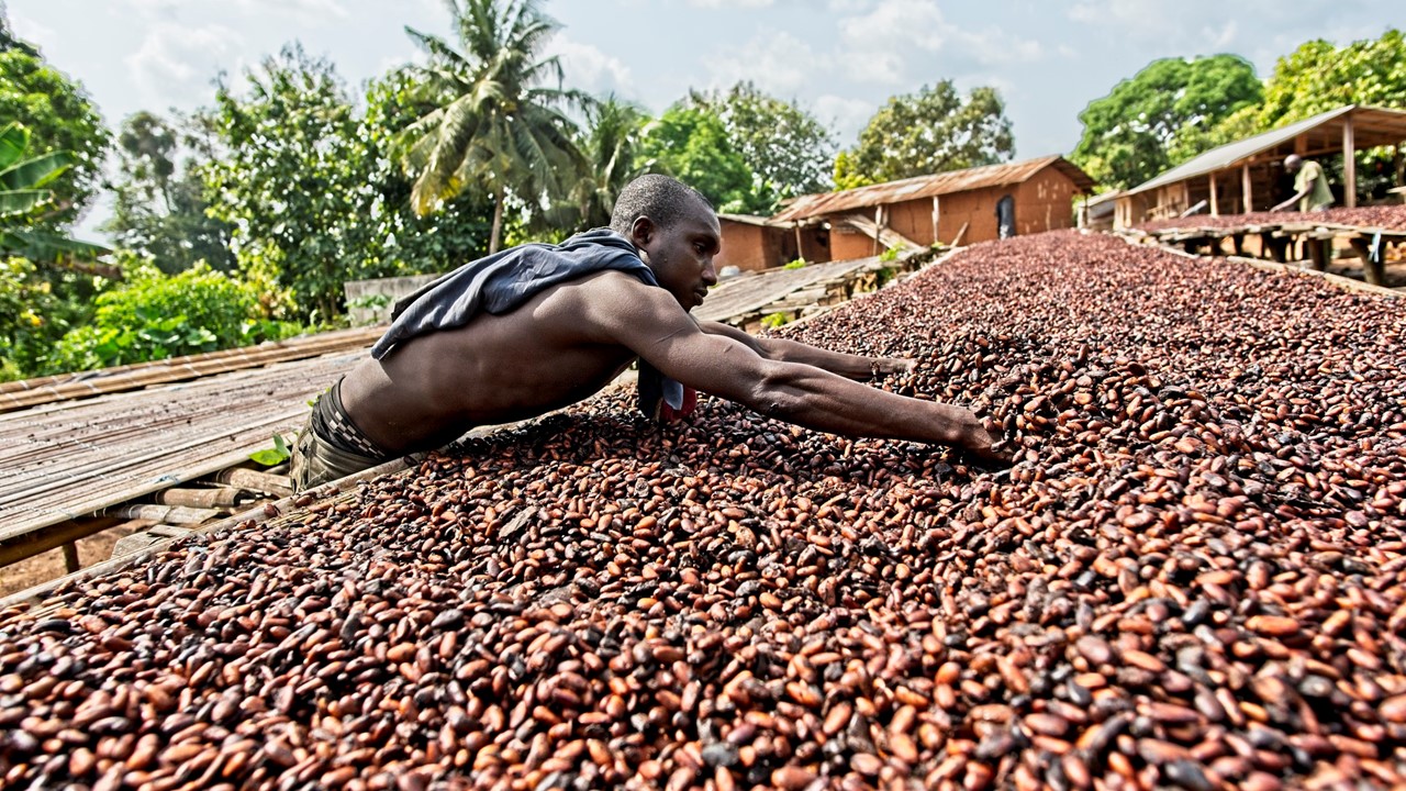 Boeren profiteren van hogere opbrengst Fairtrade producten 