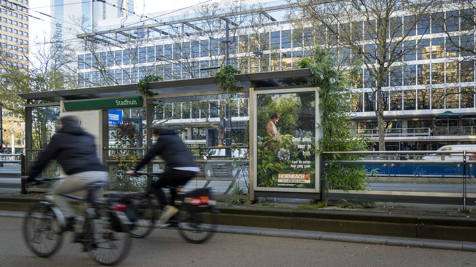 Volgende fase campagne Hornbach: ‘Laat natuur haar gang gaan’