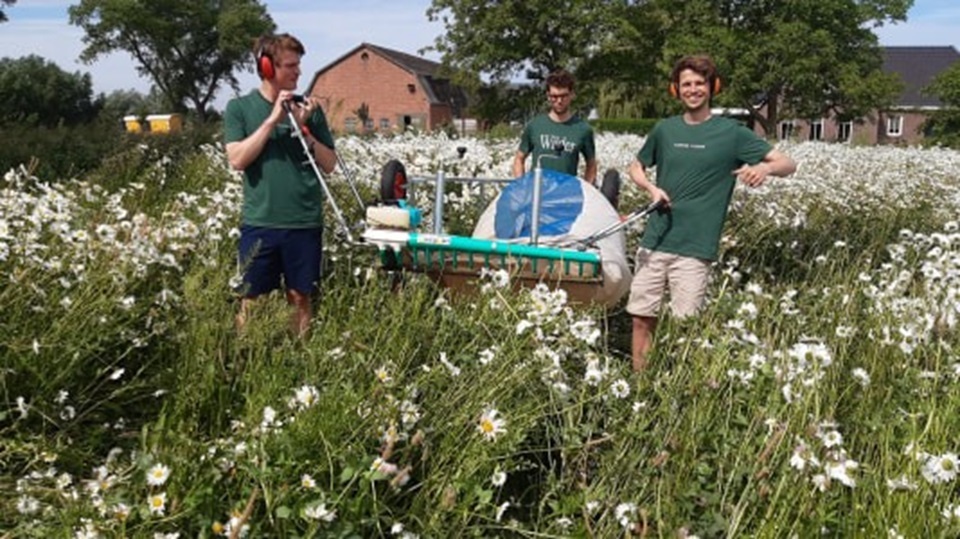 Wilder Land maakt van onkruidfabriek een kruidenthee-imperium