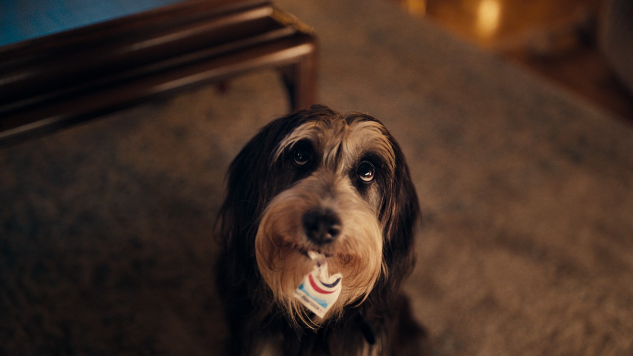 Kerst 2024: Dibbes doet het voor Staatsloterij