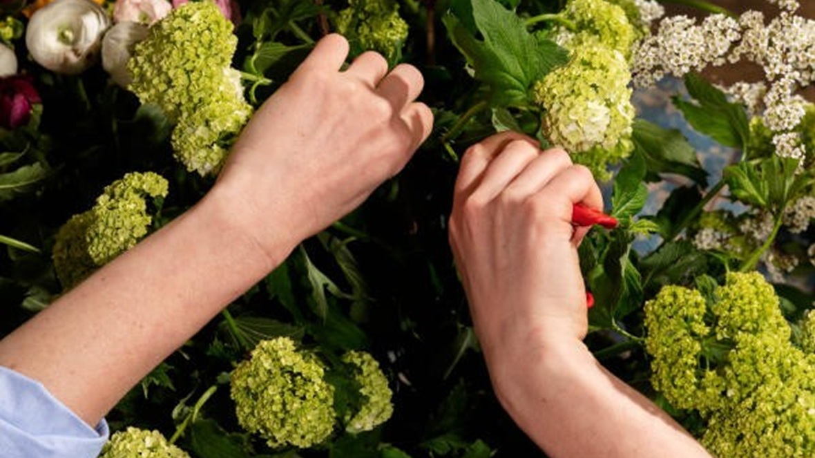 Bloemencollectief ambieert biologische bloemensector