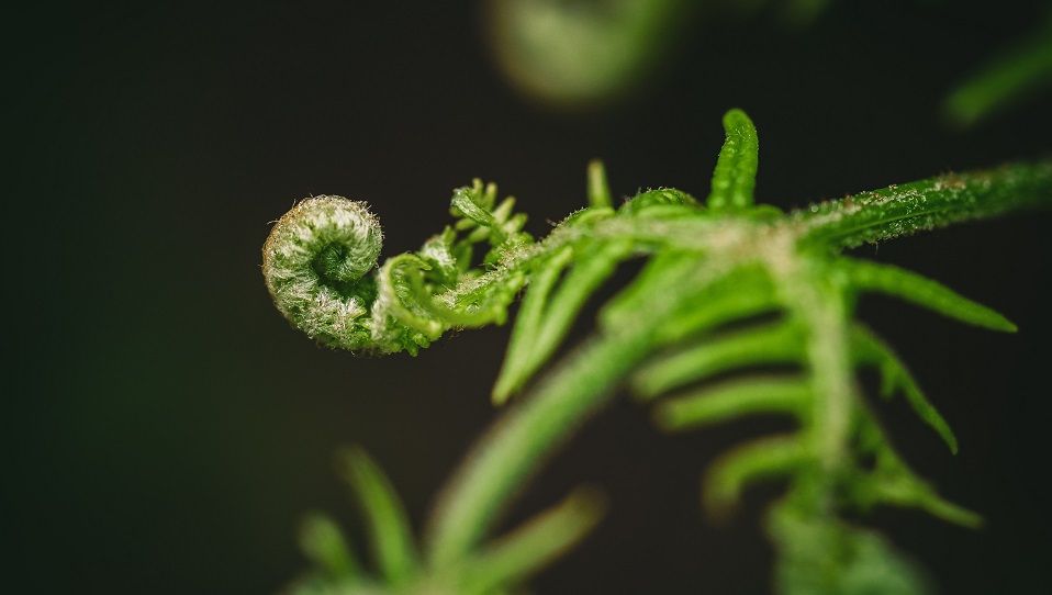 [column] Melk als voorloper van lichtgroen