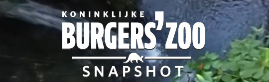 Destination marketing - Burgers Zoo ontwikkelt 360 gradenvideogame