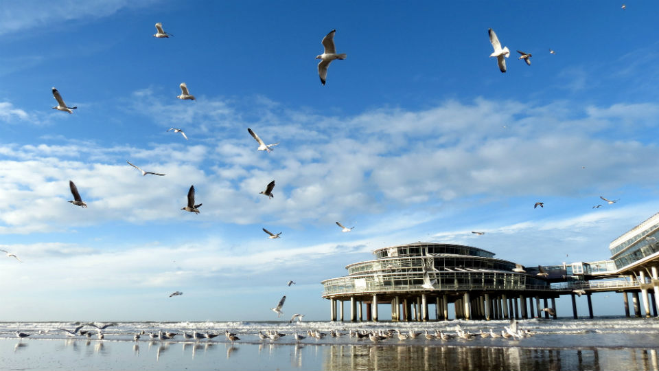 Krantenoorlog in Scheveningen