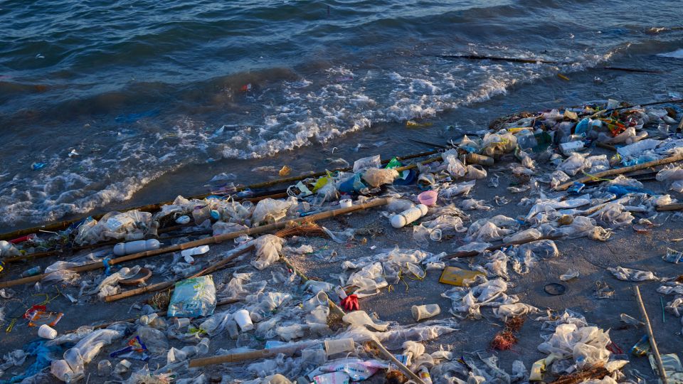 TikTok en MBRC The Ocean starten #KickOutThePlastic