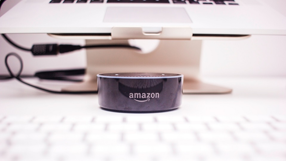 Hoe hoog wordt de boom van Amazon.nl?